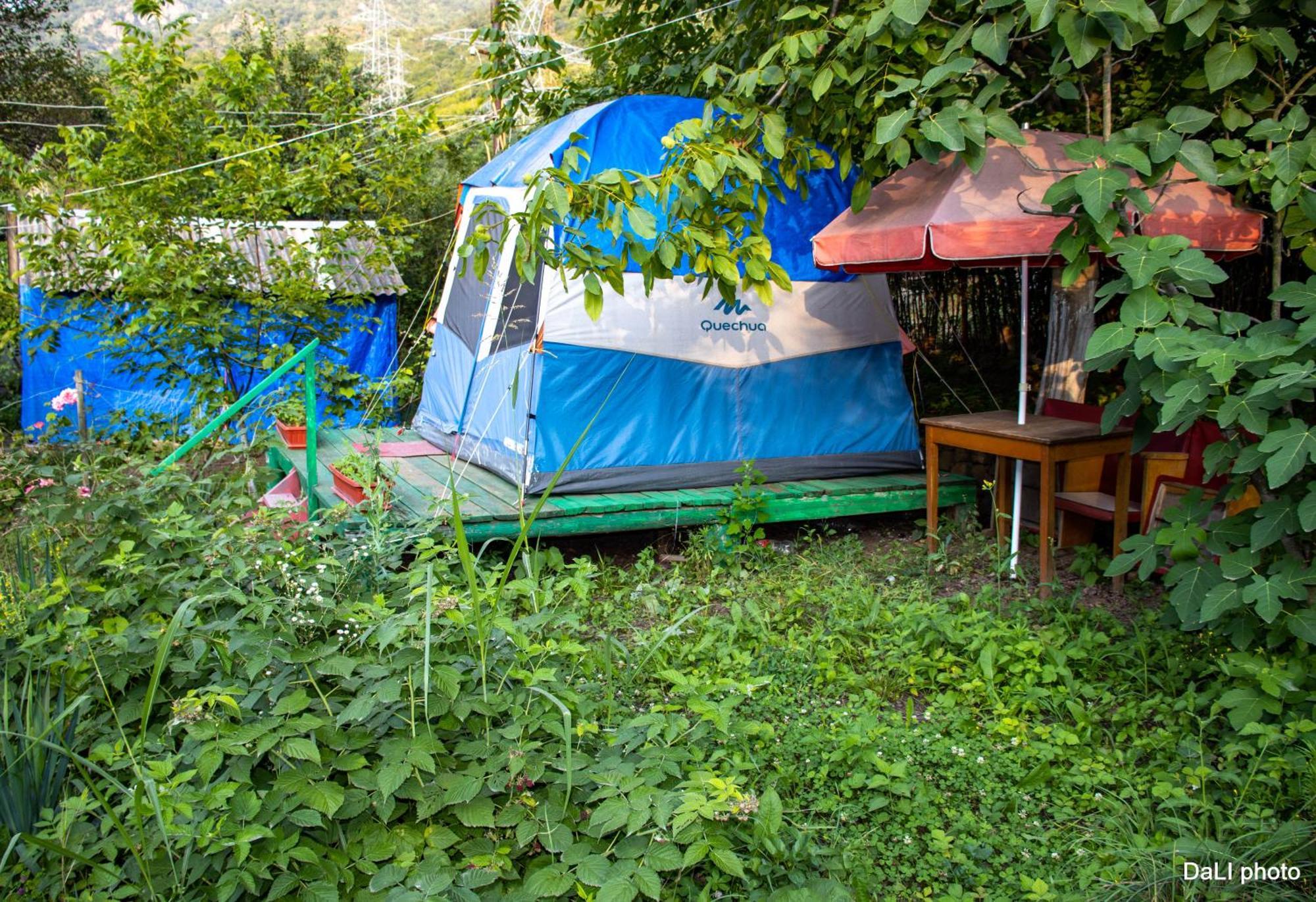 Tereza Glamping Sanain Exterior foto