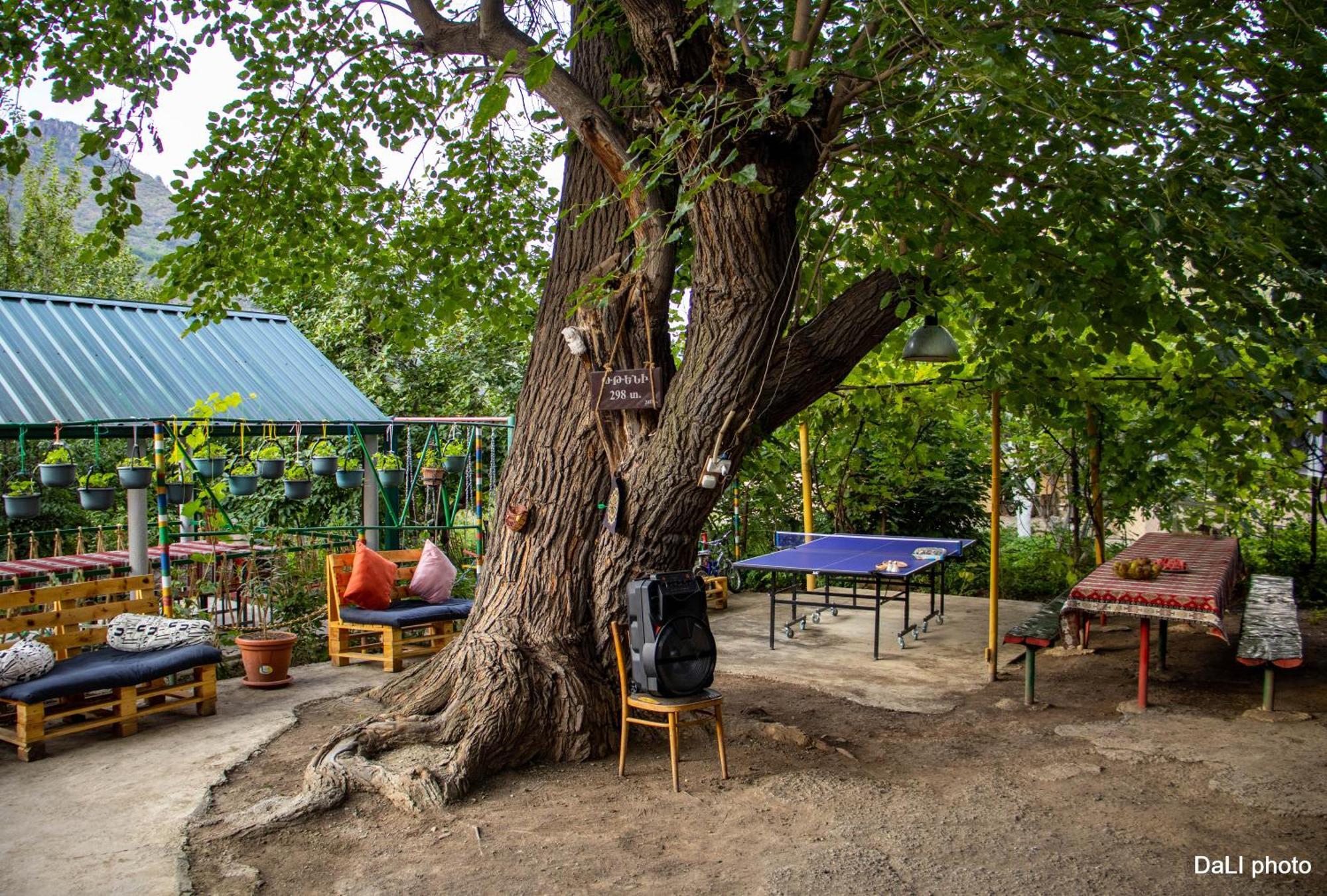 Tereza Glamping Sanain Exterior foto