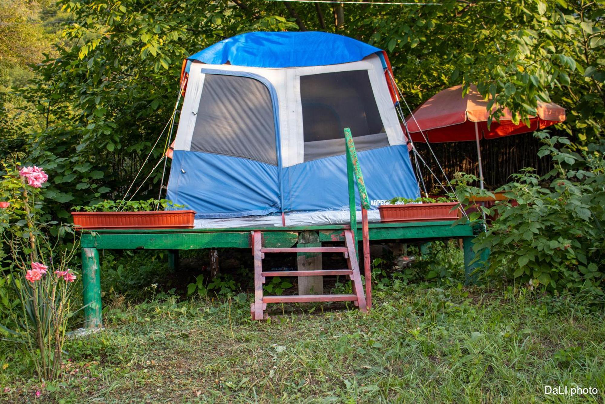 Tereza Glamping Sanain Exterior foto